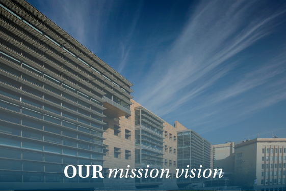 Our Mission/Vision
